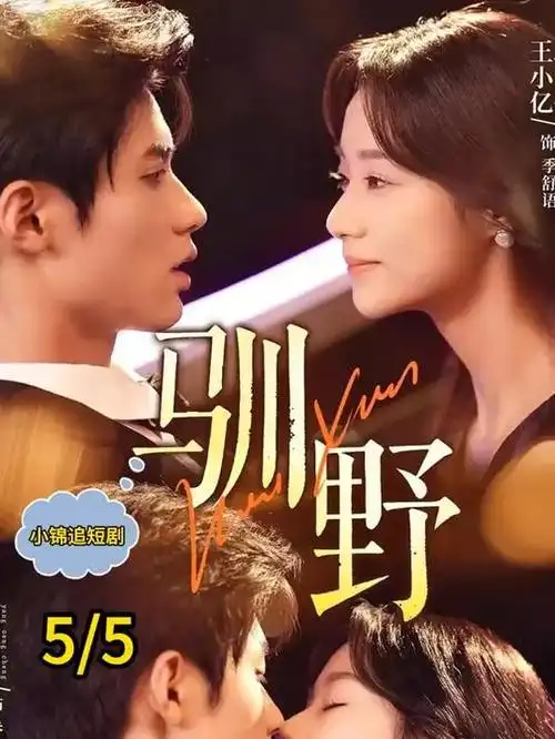 少年游侠传热播电视剧全集免费看